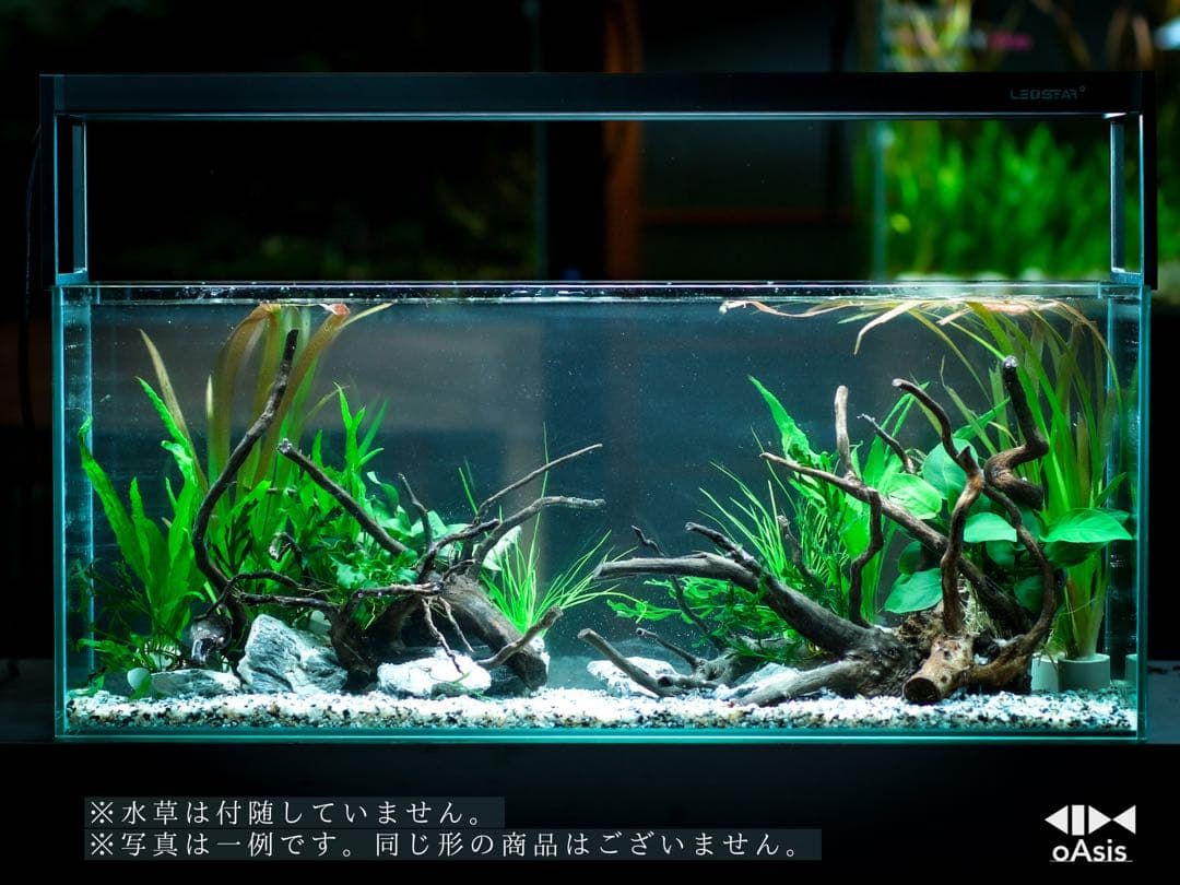 アクアリウム 流木 レイアウトセット 60cmスリム水槽　熱帯魚・水草水槽用
