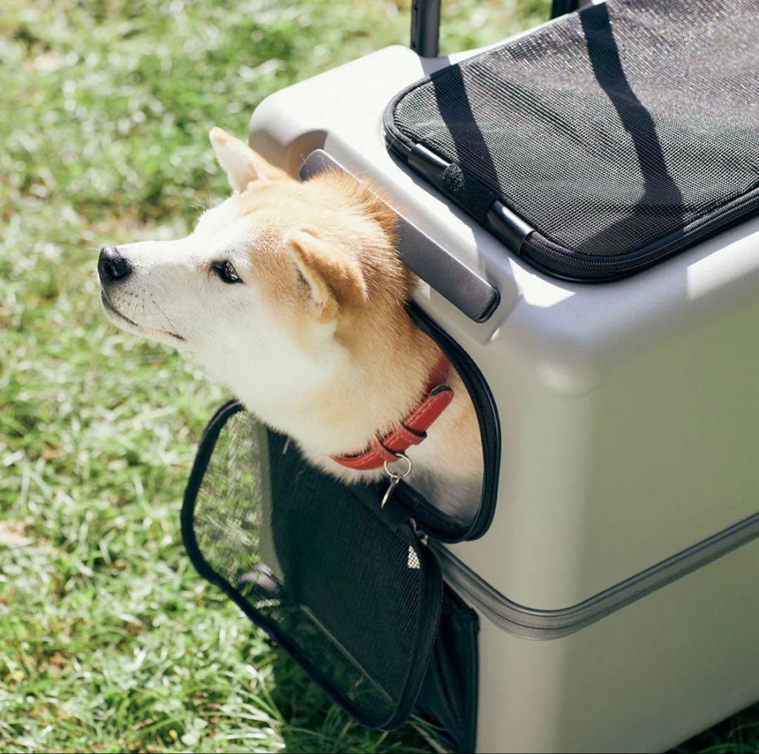 PETICO ペットキャリー　Lサイズ　グレー