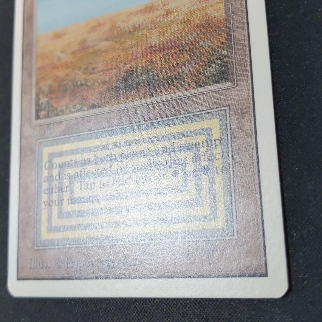 ●【貴重】【やや擦れアリ】　Scrubland　２ED　英語１枚