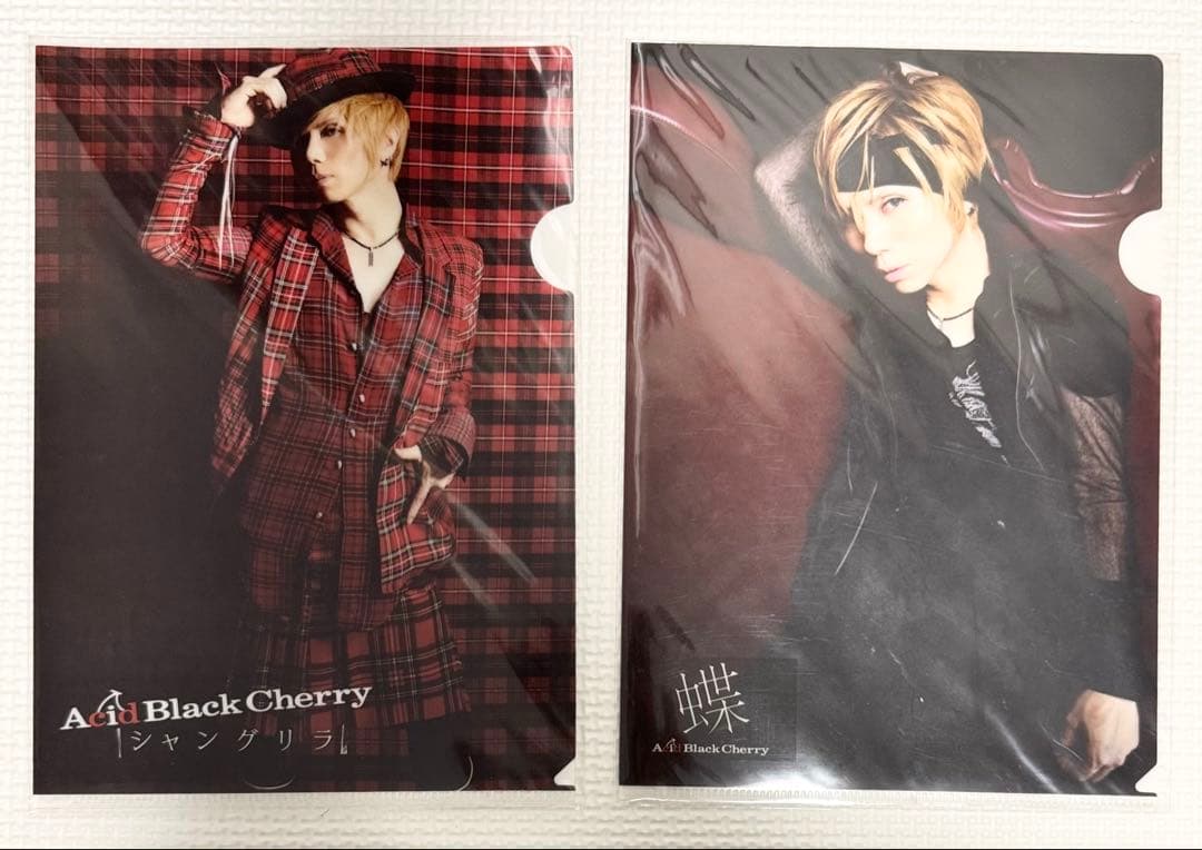 acid black cherry クリアファイル/ポストカード/メモ/パンフ