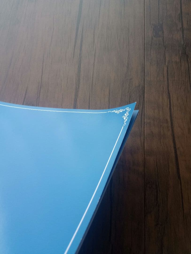 【限定版】君の名前で僕を呼んで パンフレット