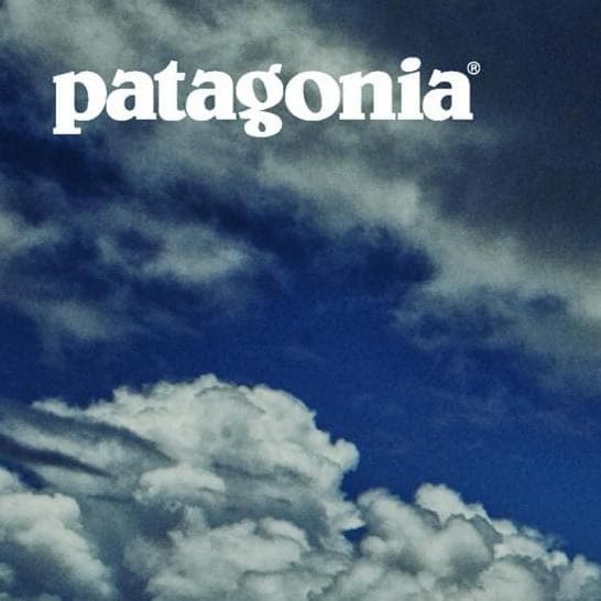 額装品/Protect Your Break（パタゴニア）/アートポスター