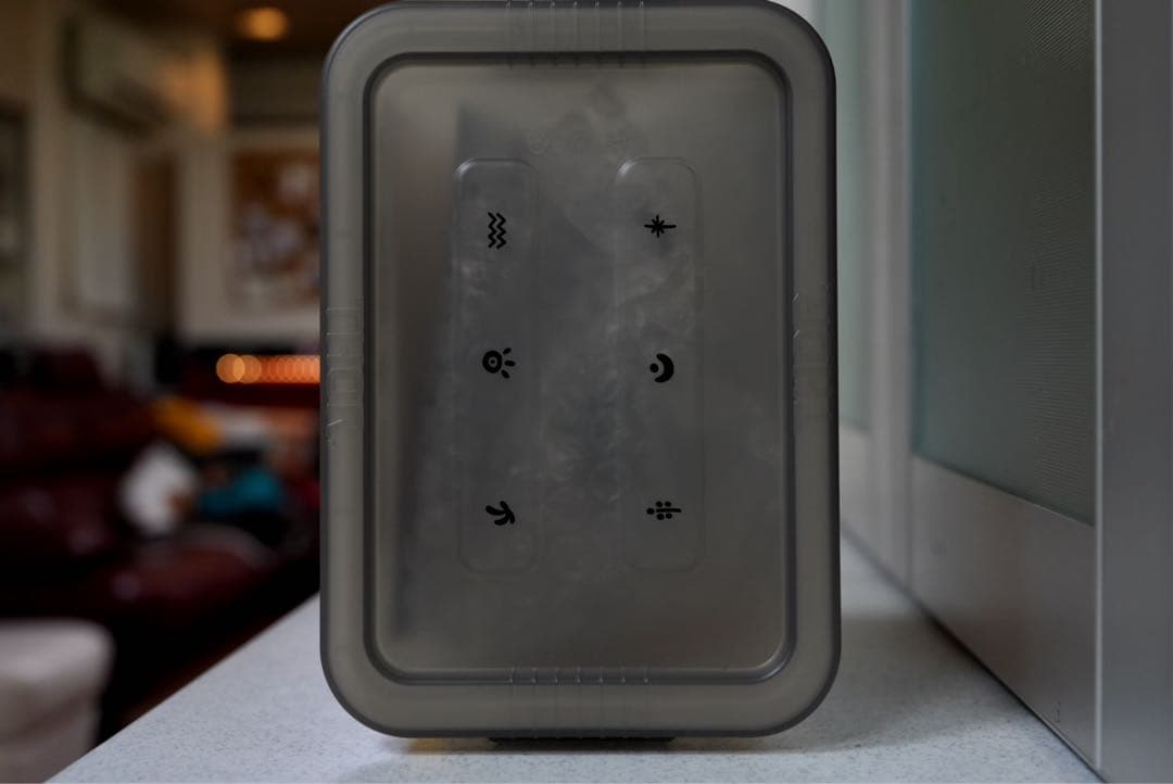 羅本製所 Robin agave baby x THORアガべ