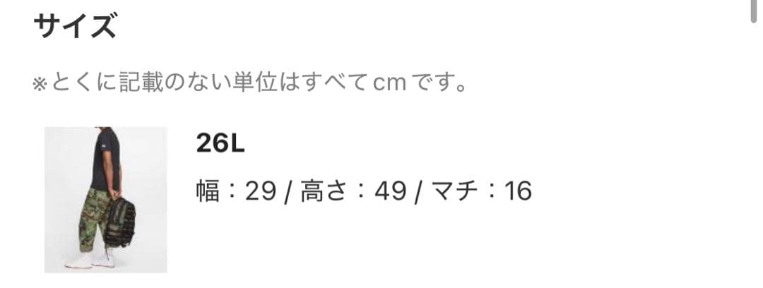 未使用タグ付き ★ NIKE SB ★バックパック CK5888-010