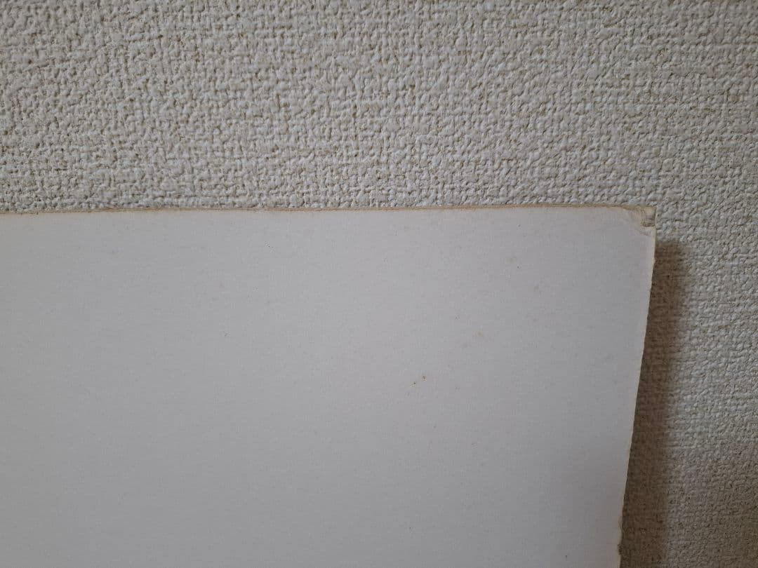 【一点物】トム・パーキンソン/Tom Perkinson スカイウォーカー 原画