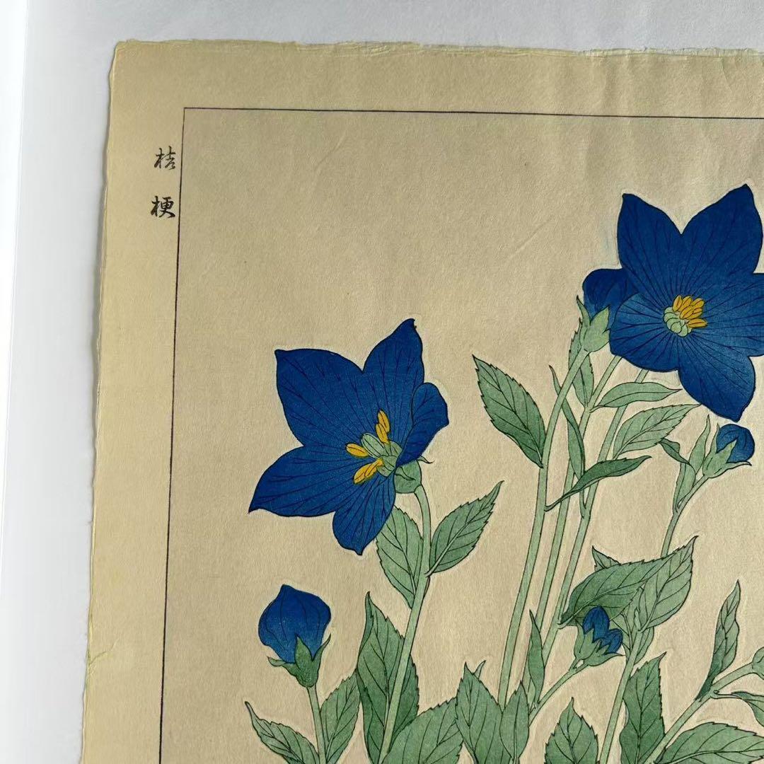 河原崎奨堂 芸艸堂 花の木版画 桔梗