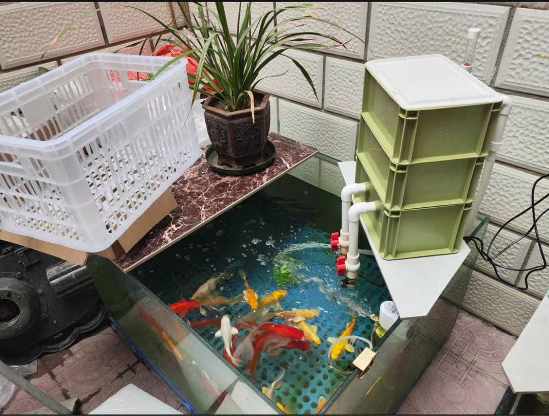 45w水中ポンプ付き 水槽用万能フィルター 外部式飼育濾過器装置　アクアリウム