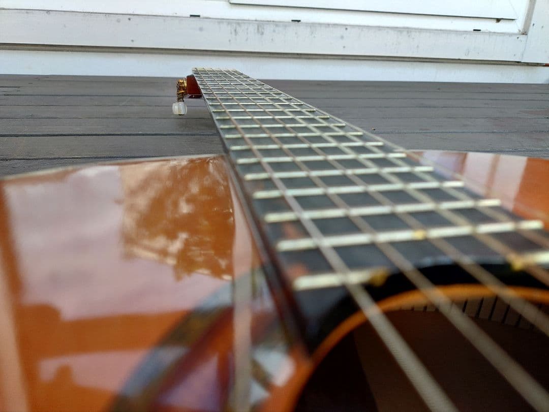 アコースティック ギター アリア A-100F フラメンコギター