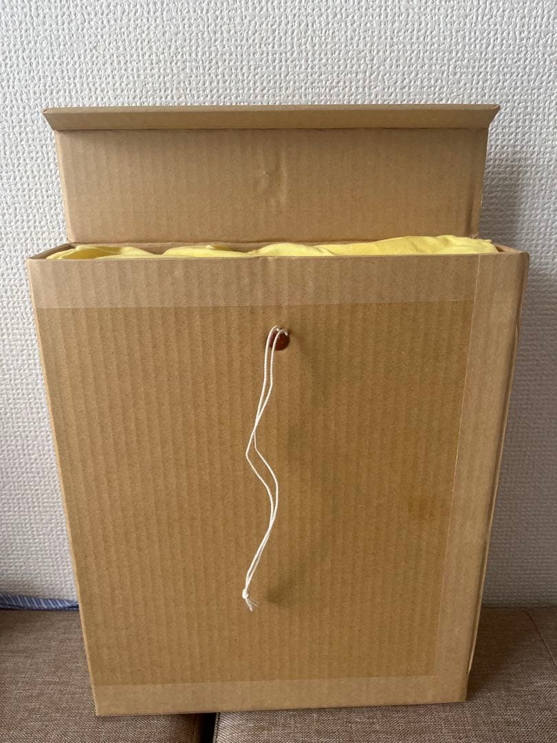 スクリプカリウ落合安奈 作品 （検 村上隆 草間彌生 南谷理加 ロッカクアヤコ