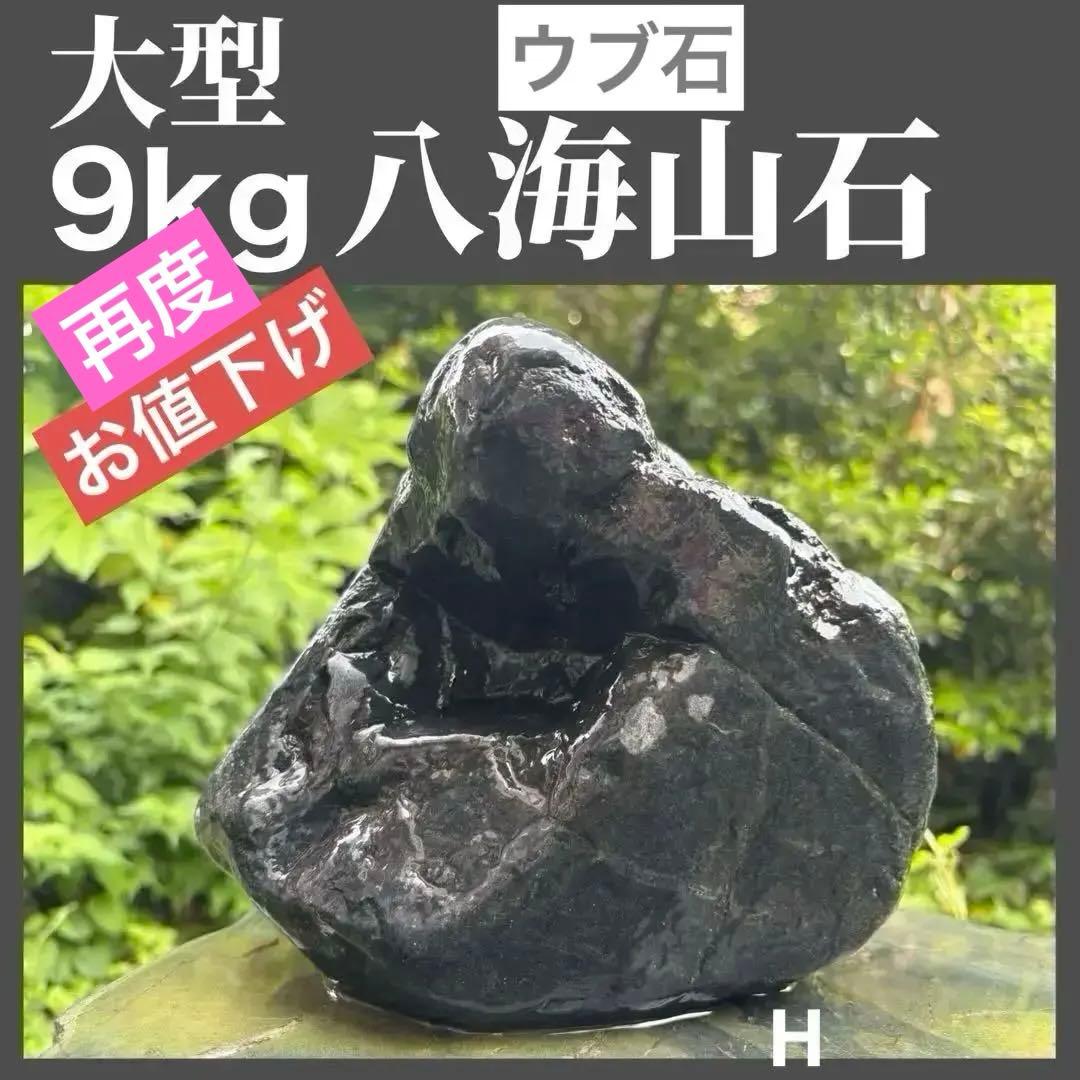 【再お値下げ】〈希少 八海山石 大型9kg〉アクアリウム 親石 ウブ石 ジャグレ