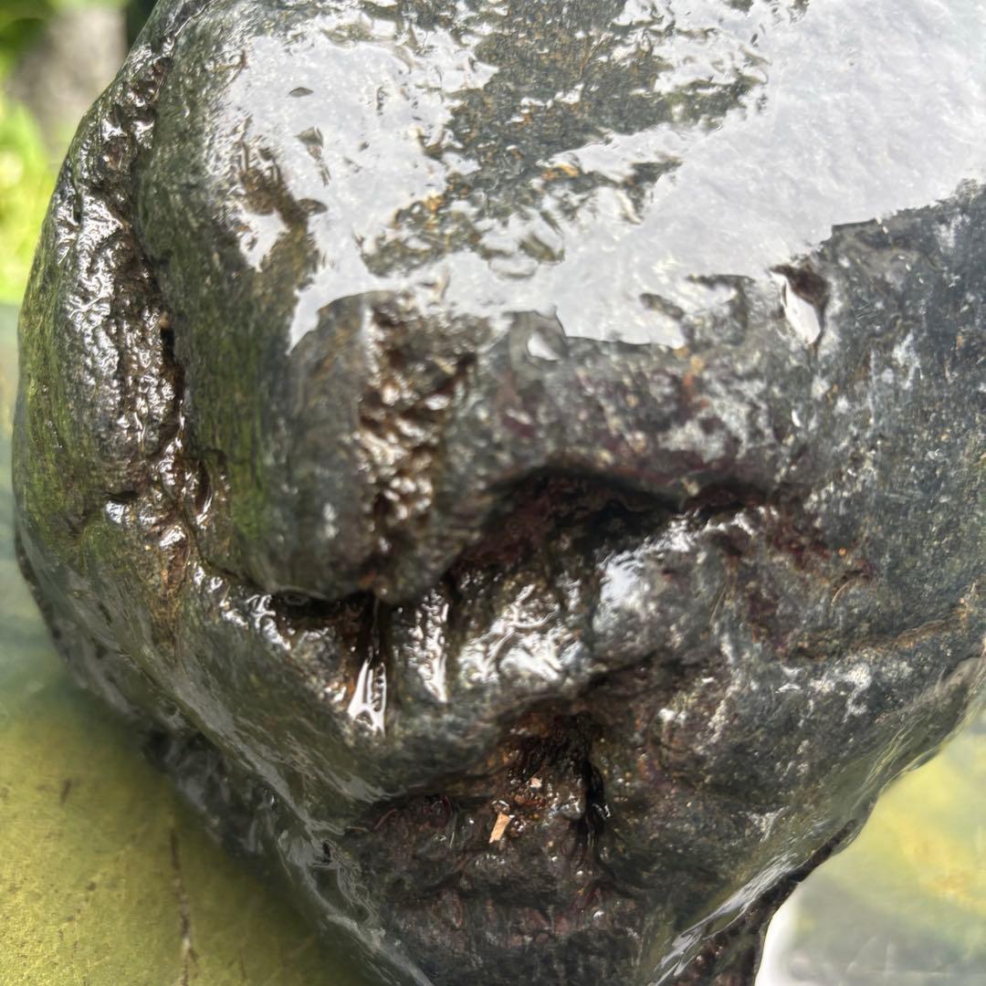 【再お値下げ】〈希少 八海山石 大型9kg〉アクアリウム 親石 ウブ石 ジャグレ