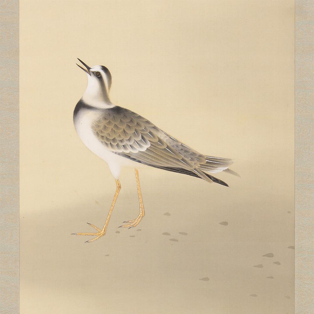 掛軸 日本画 山本倉丘「千鳥」本名 傳三郎 山元春挙,堂本印象に師事 高知生