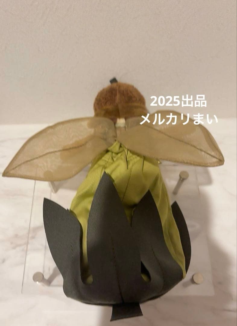 Petalkin Acorn Doll ぬいぐるみ　入手困難