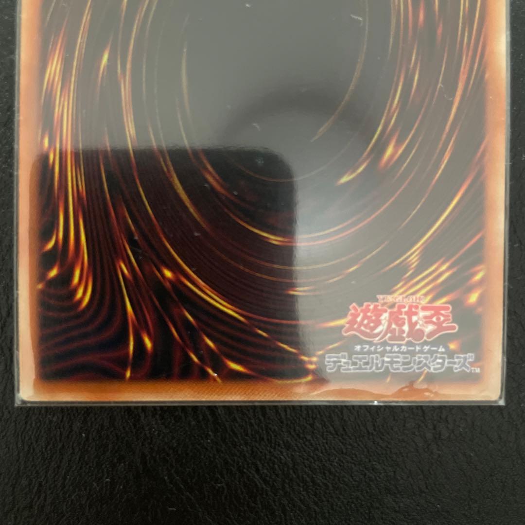 I P マスカレーナ プリズマ　美品　2枚セット