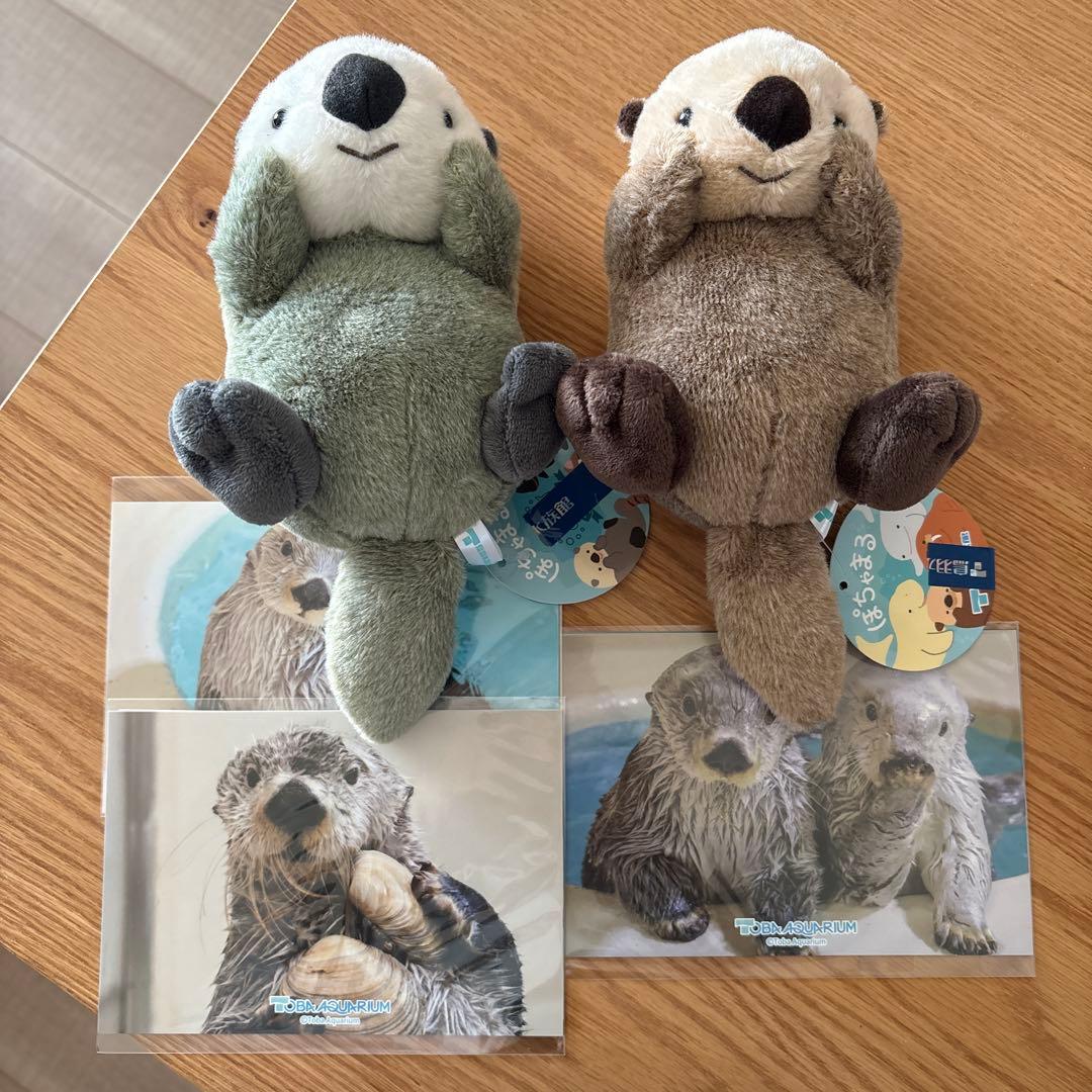 鳥羽水族館 70周年ラッコセット