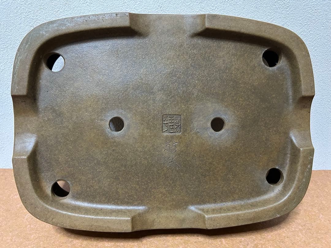 萬留平　盆栽鉢　山野草