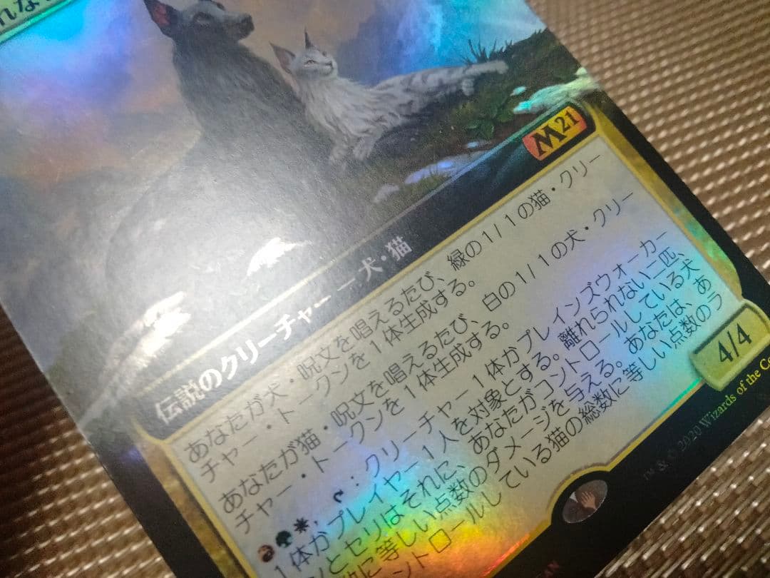 確認用】M21 BOXプロモFOIL 離れられない二匹、リンとセリ 日本語 1枚