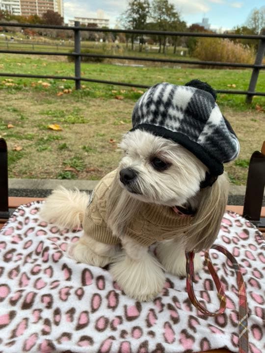 ⭕️ペット・ぬいぐるみ・人形帽子