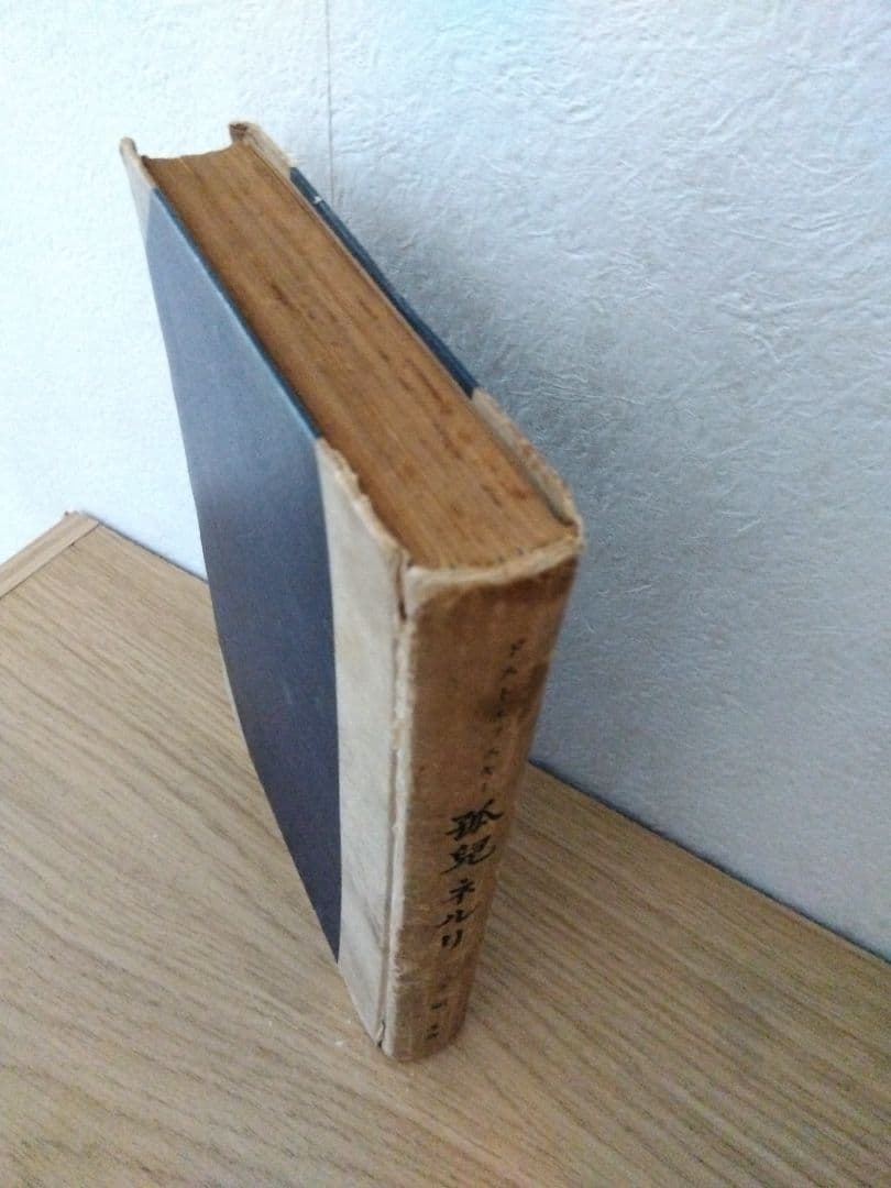 孤児ネルリ　ドストエフスキー