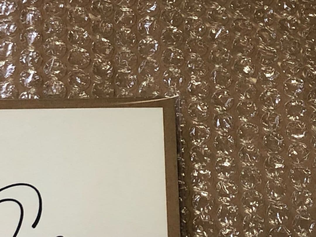 SABBRABELLS 直筆サイン色紙 (ジャパメタ サブラベルズ