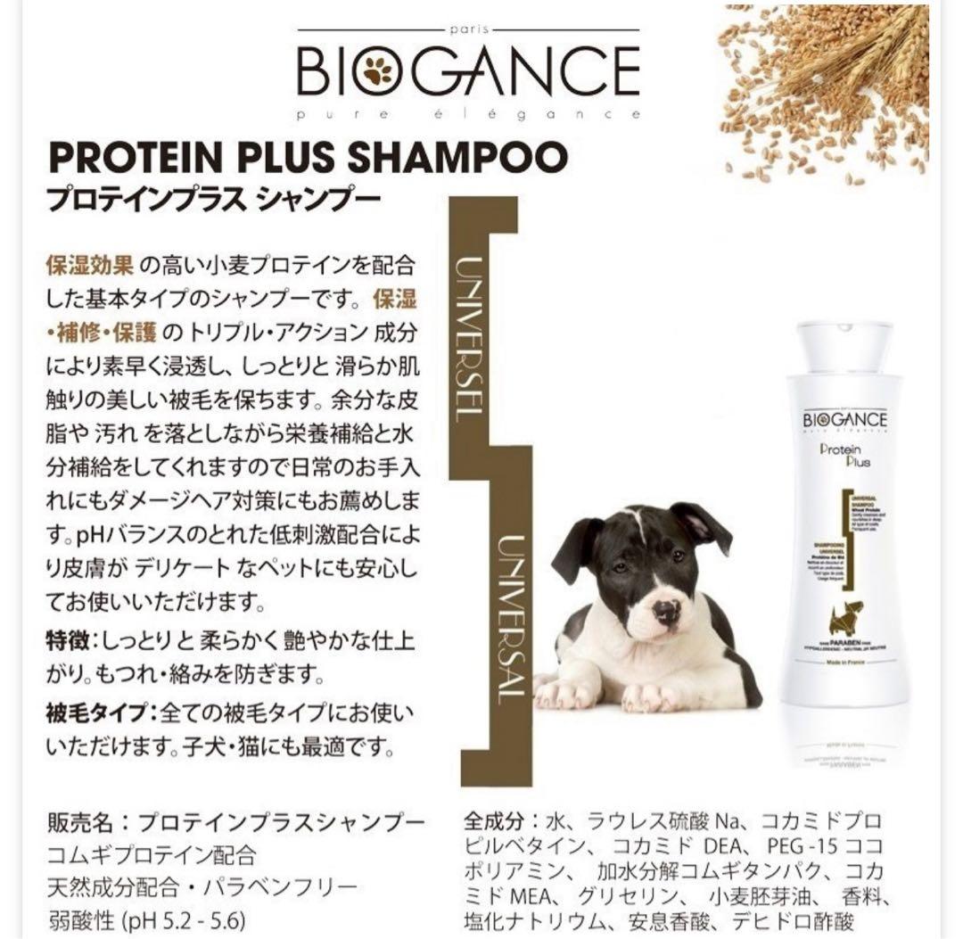 バイオガンス４Ｌ　プロテインプラスシャンプー　アップルボリュームコンディショナー