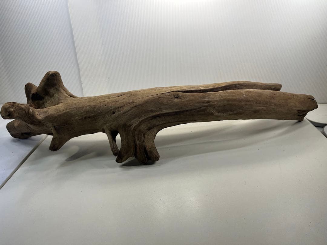 W27特大流木 アク抜き済み流木 爬虫類シェルター 登り木 インテリア 生け花