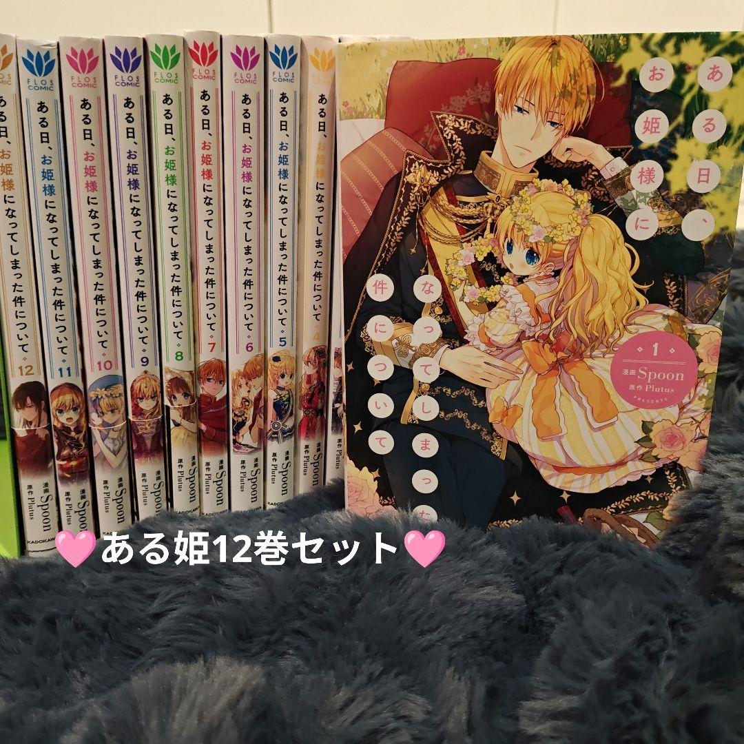 ある日、お姫様になってしまった件について 12巻セット