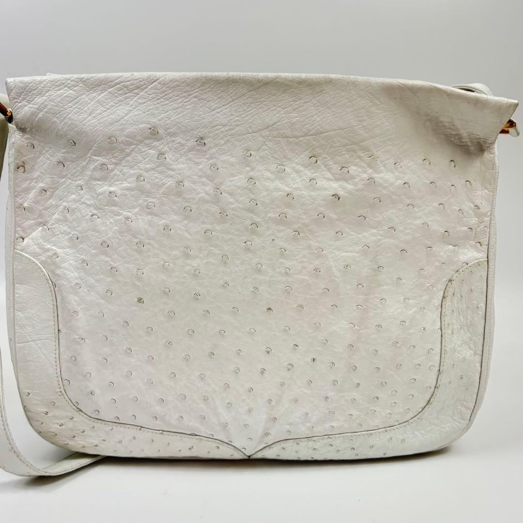 【希少】GUCCI ショルダーバッグ インターロッキング 金具 オーストリッチ