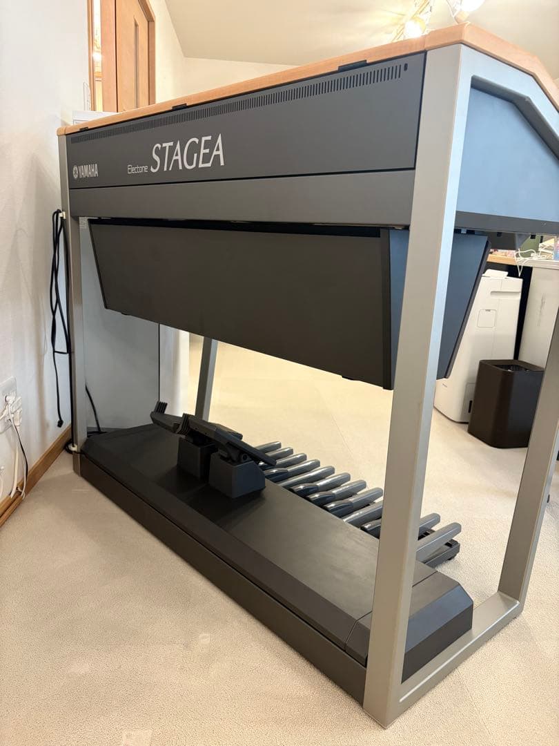 YAMAHA STAGEAカスタム　ELS-01CH 2012年バイタライズ済