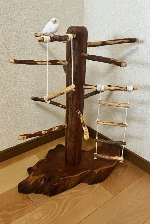 【中型鳥】ブランコ＆はしご付バードアスレチック♬