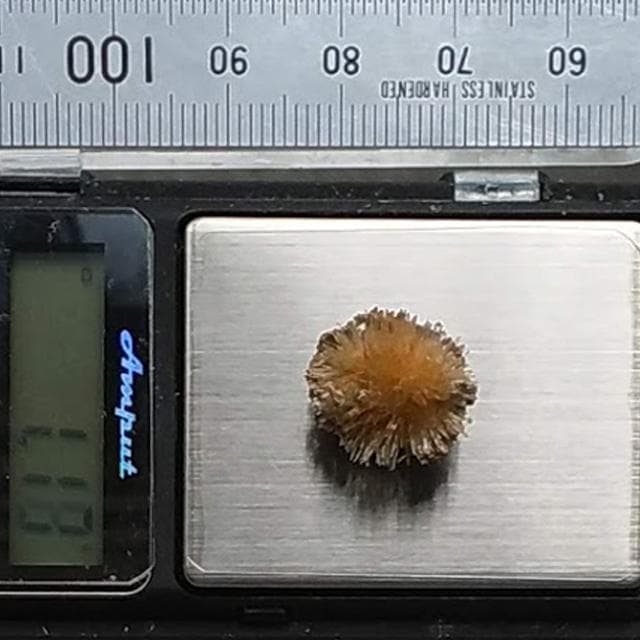 1.08g　アラゴナイト　かわいいウニゴナイト(仮称)　霰石