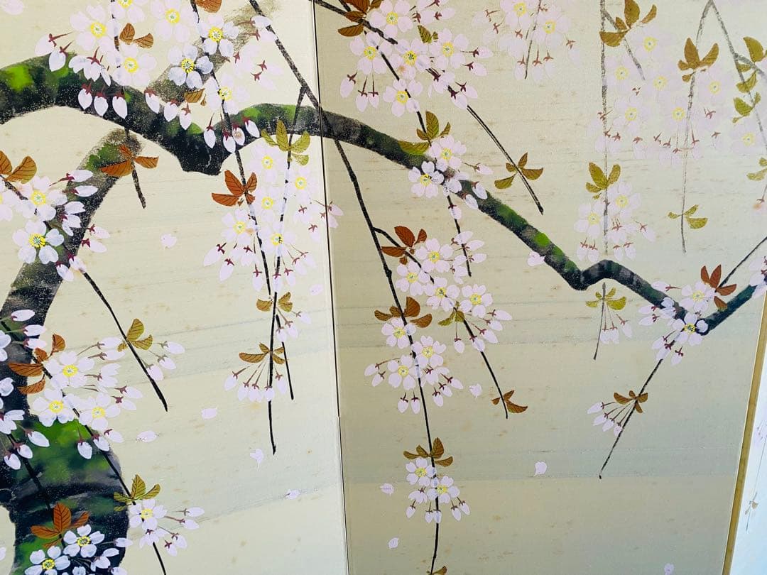 桜の屏風 190cm x 90cm 星山作
