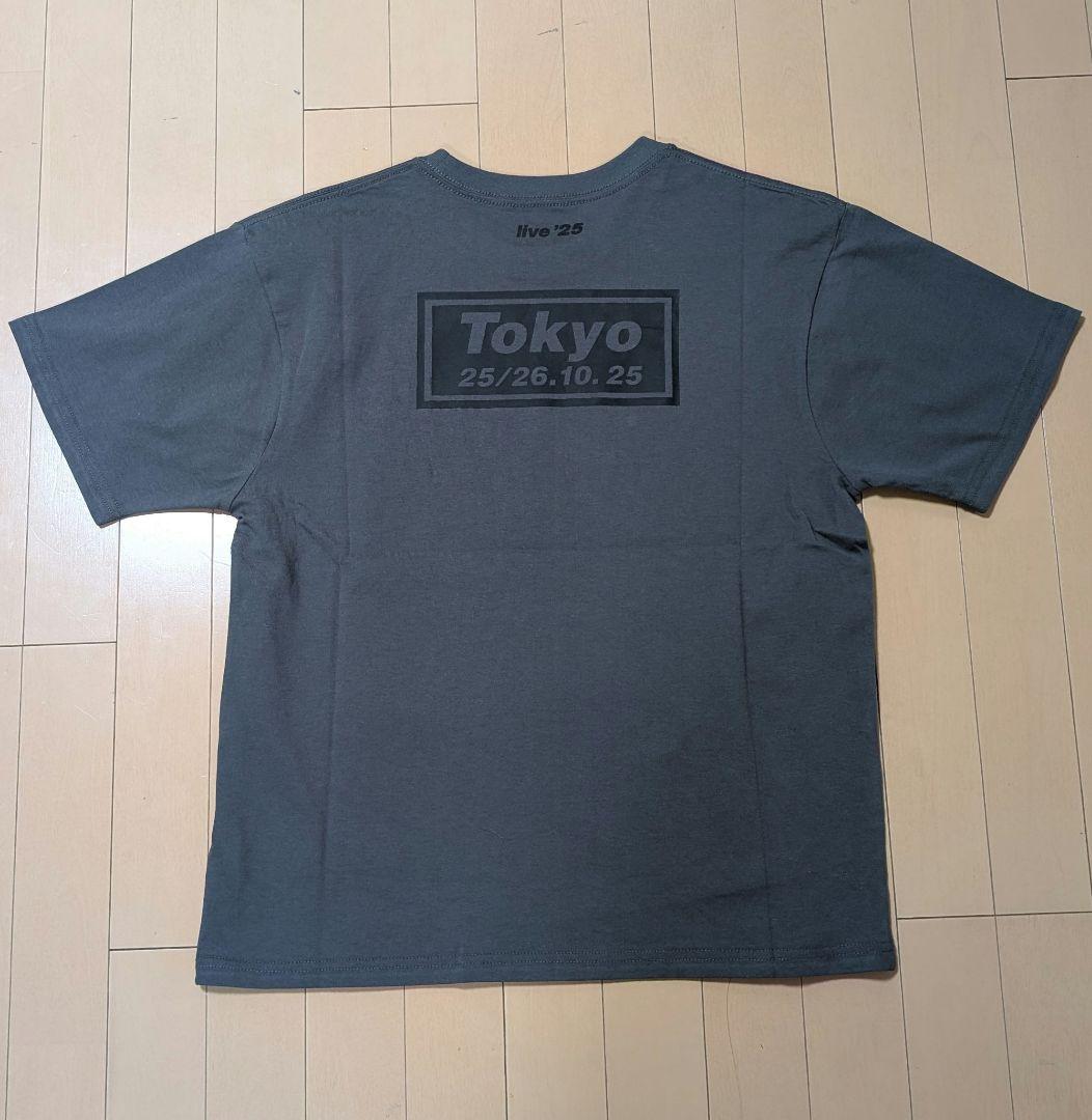Oasis \"Tシャツ 富士\"【日本限定】Mサイズ
