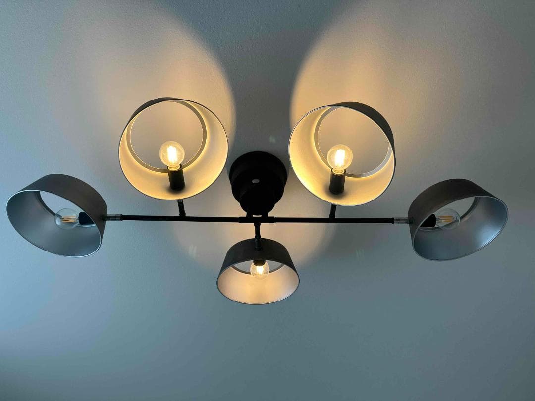 【値下げ】【送料込み】カピエンテ１　シーリングライト（５灯）　ビンテージシルバー