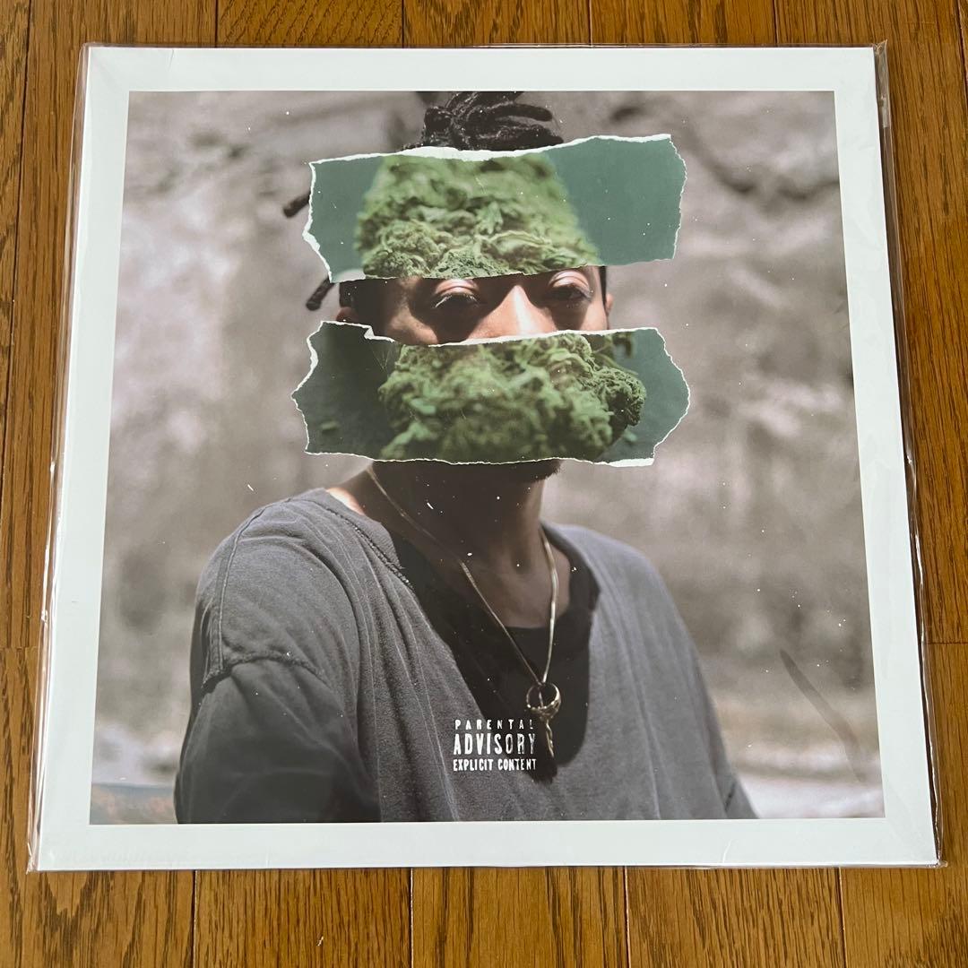 RUDEBWOY FACE JAM DOWN LPレコード