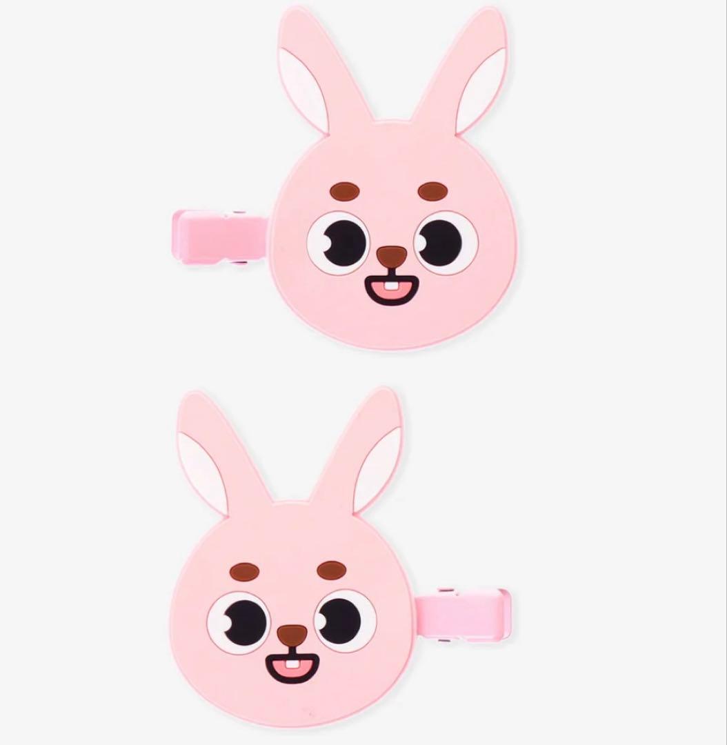 完売♡新品♡DAY6 Wonpilヘアクリップ PIL ウォンピル