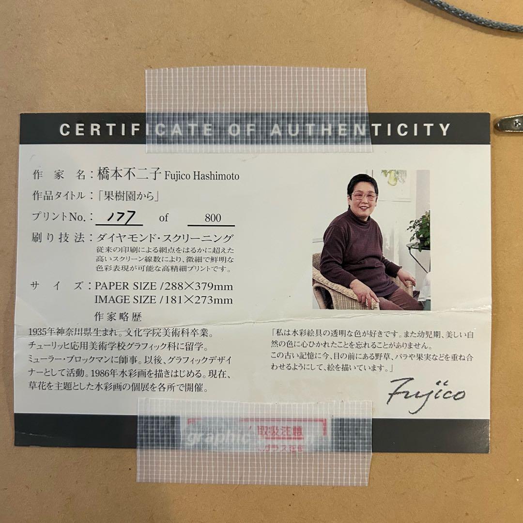 橋本 不二子 限定版画 エディション有り　額縁　ボタニカル　ナチュラル
