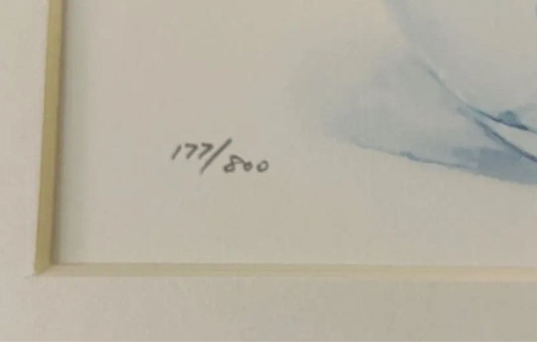 橋本 不二子 限定版画 エディション有り　額縁　ボタニカル　ナチュラル