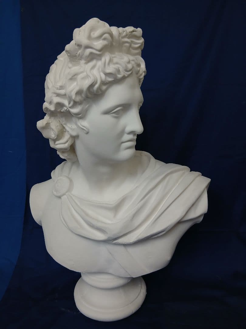 アポロ胸像　81cm