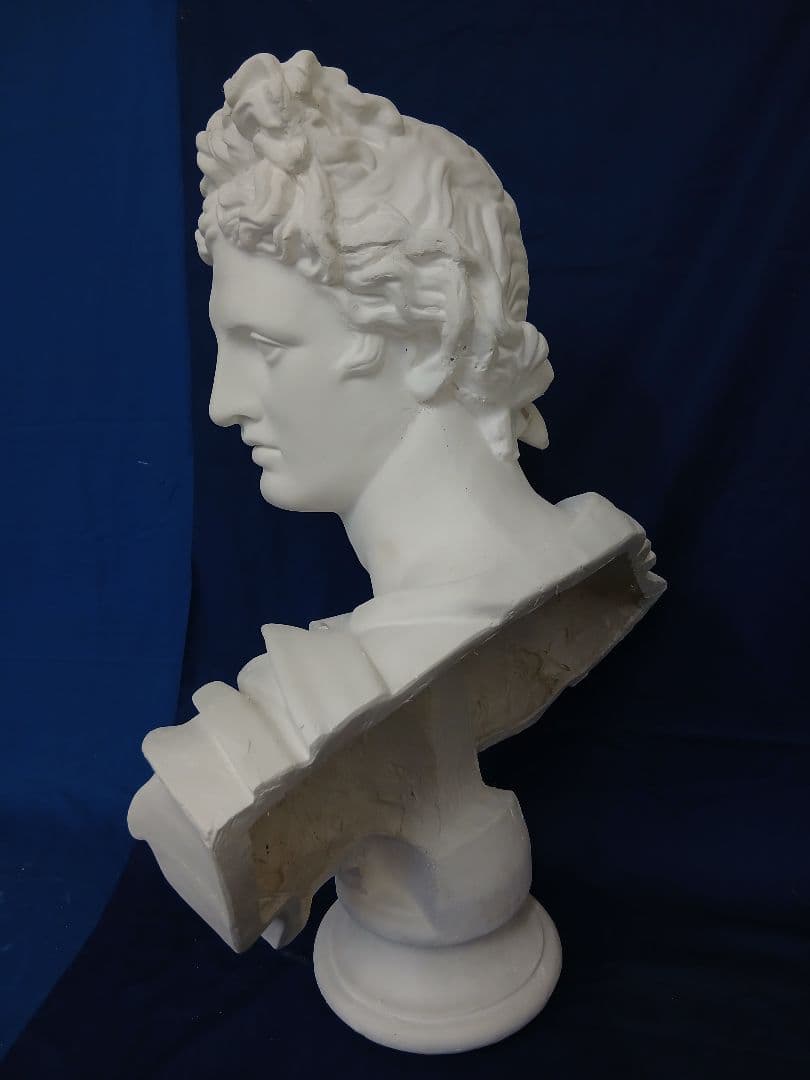 アポロ胸像　81cm