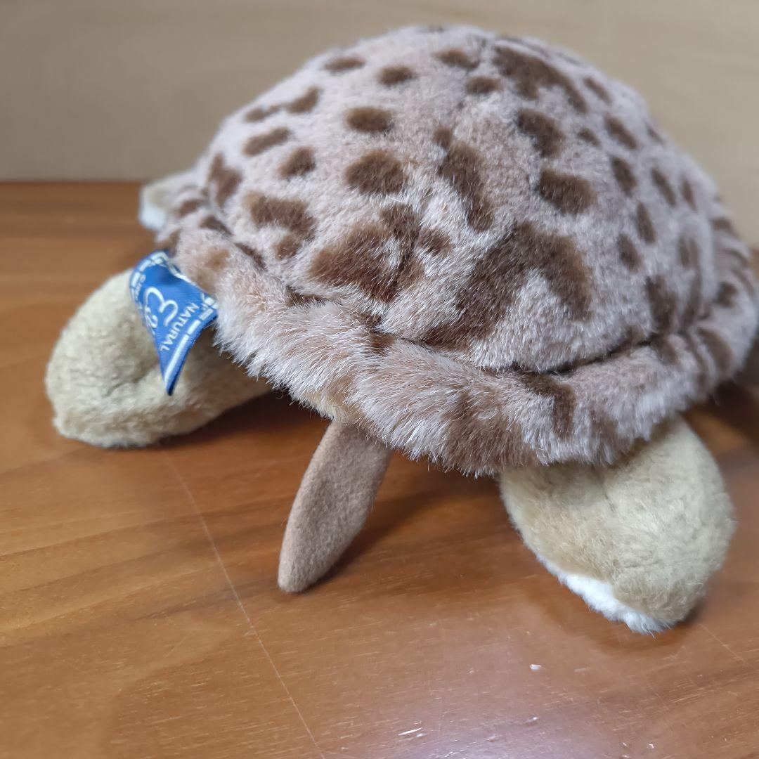 Earth Wind セキグチ　ウミガメ　ぬいぐるみ　アースウィンド　海亀