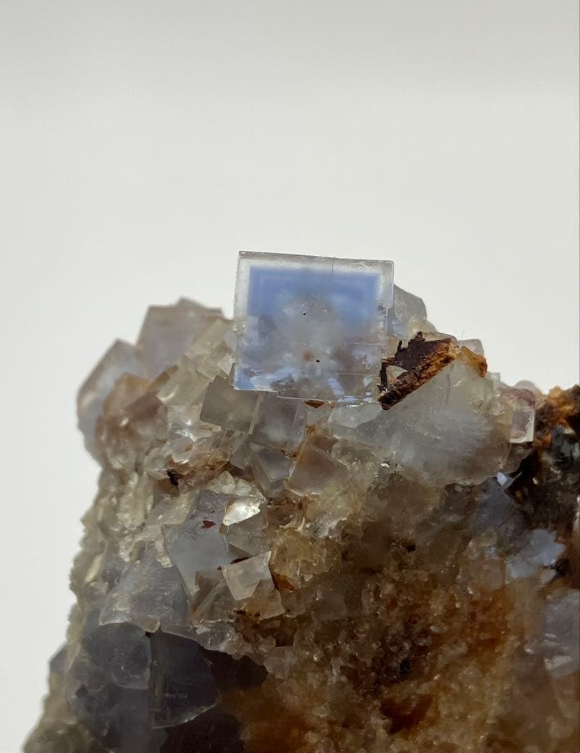 フローライト　ブラックフォレスト　黒い森