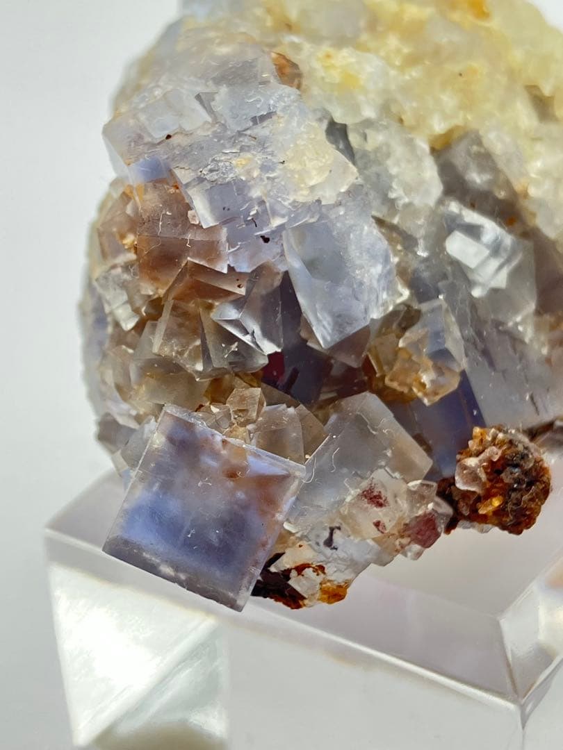 フローライト　ブラックフォレスト　黒い森