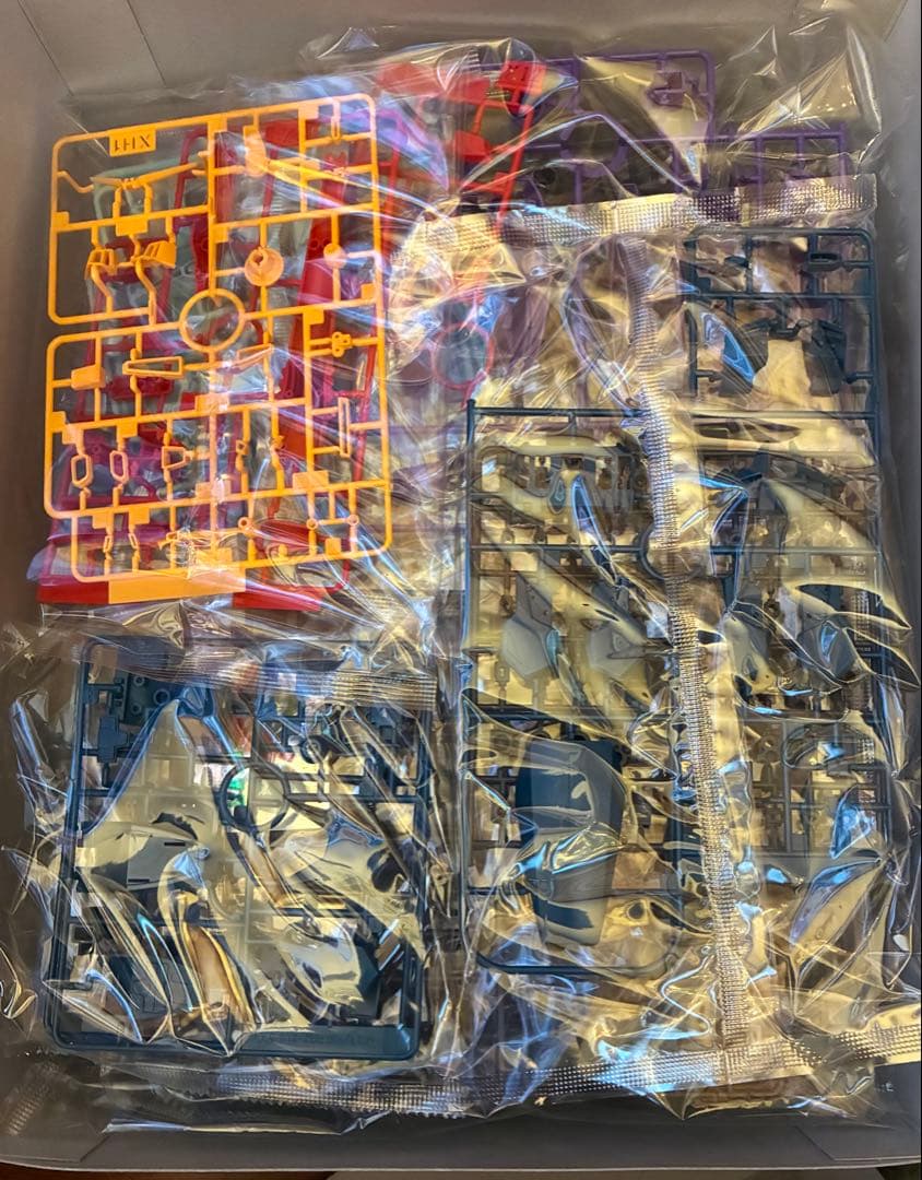 【未開封品】 MG リガズィカスタム