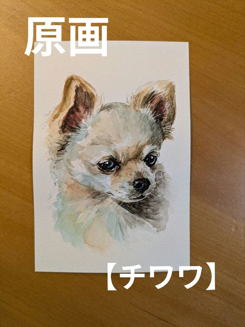 【チワワ】手描きイラスト 原画 《1546》