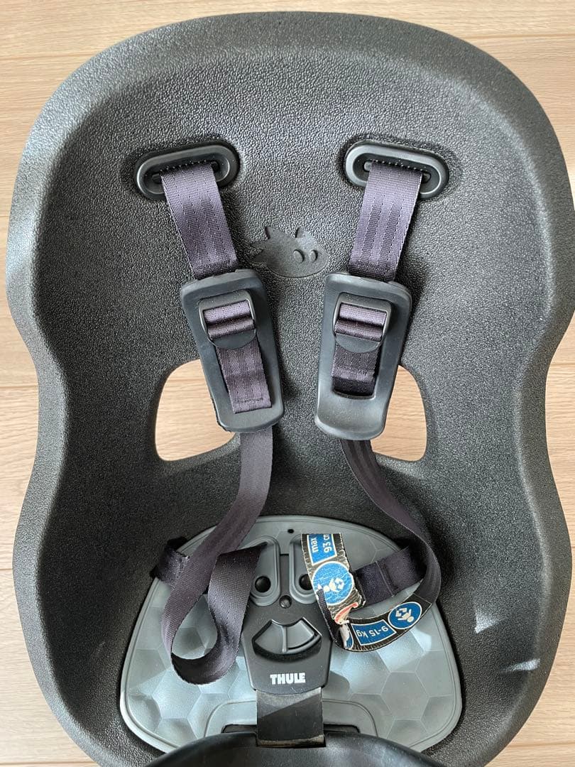 THULE Yepp Nexxt 2 Mini グレー 自転車用チャイルドシート