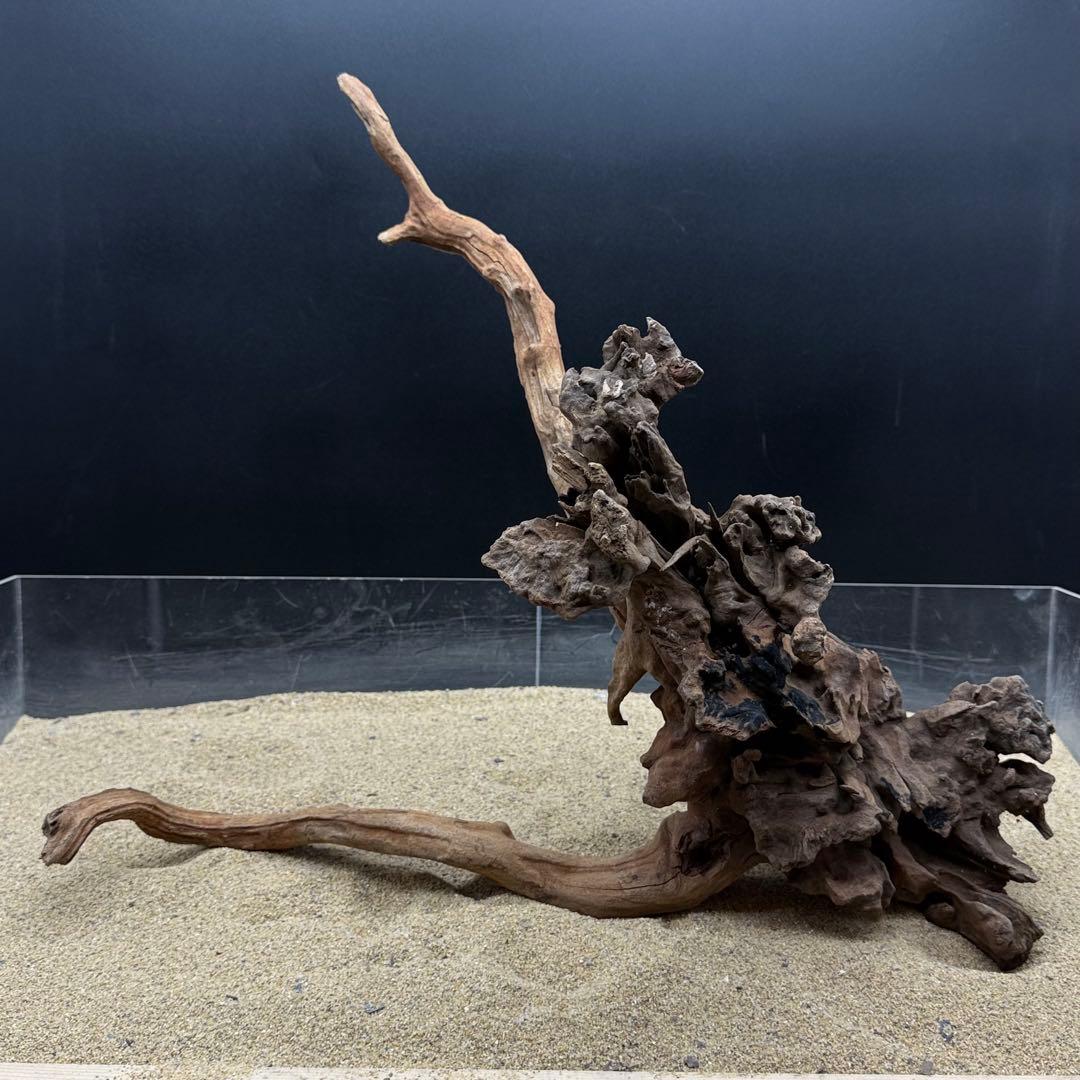 MSRW-7168 天然流木1点物　スリムウッド　アクアリウム