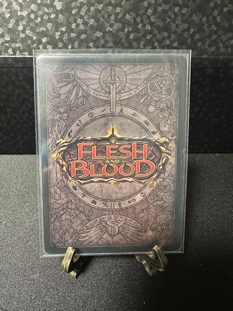 Flesh and Blood 公正の守護