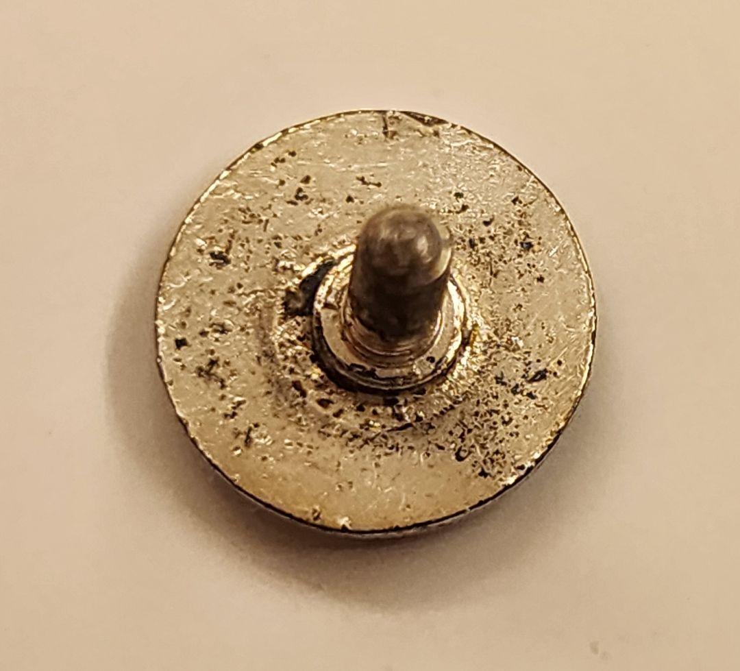 30年以上前の早稲田大学 デザインバッジ