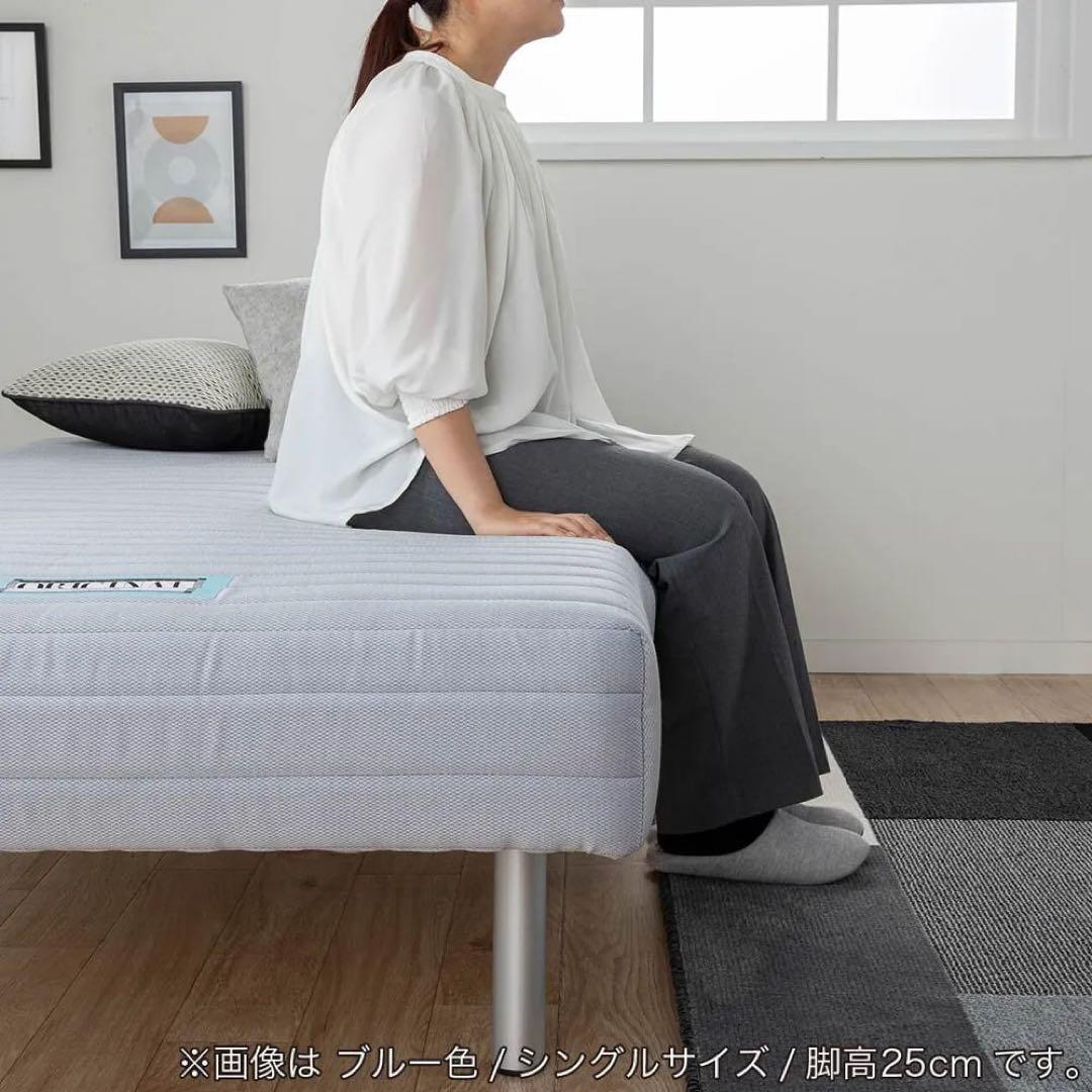 フランスベッド シングル ベッド 脚高250mm（ブルー） ベッドパットセット